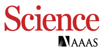 American Association for the Advancement of Science